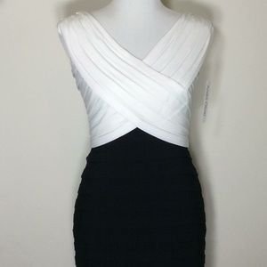 Andre Oliver Black/Ivory Sleeveless Pleated Dress